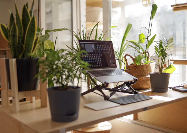 Global Workplace Analytics Traditionalists vs. Remote workers
