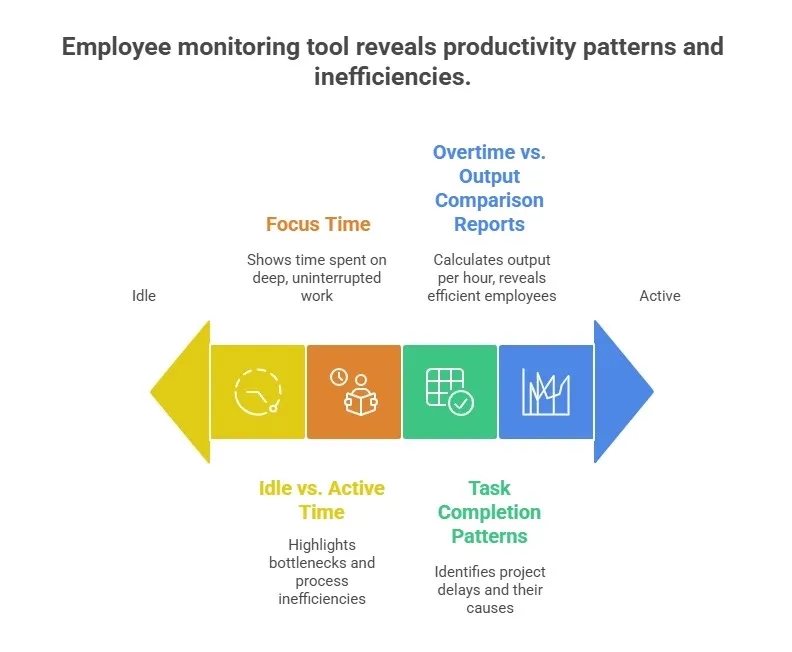 Employee monitoring tool reveals productivity patterns